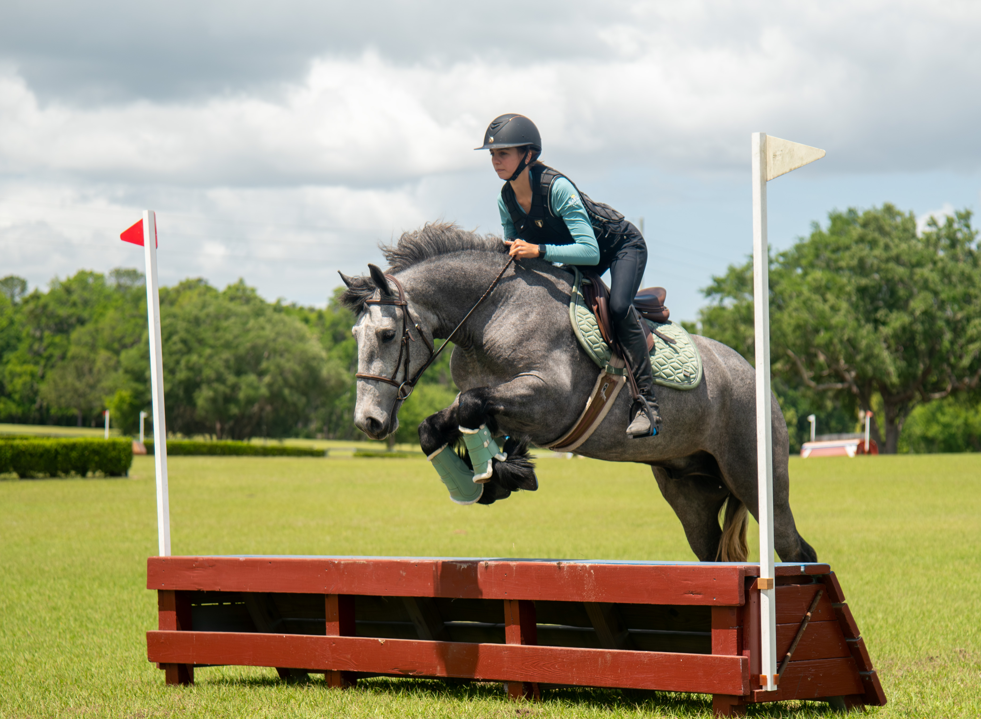 Sunday Links | Eventing Nation - Three-Day Eventing News, Results